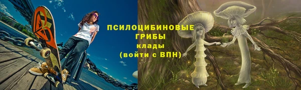 бошки Беломорск