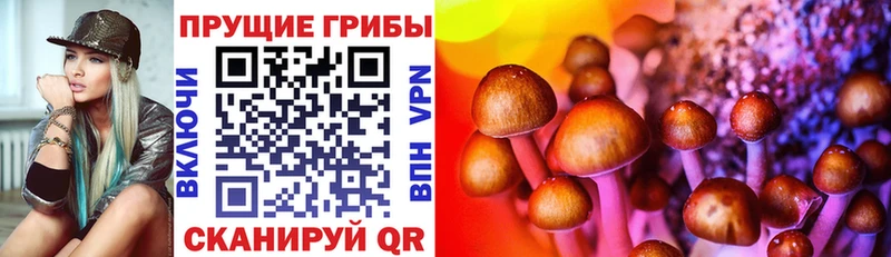 Галлюциногенные грибы MAGIC MUSHROOMS Южа